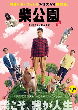 国产成人综合在线视频