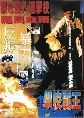 小主人公是继母