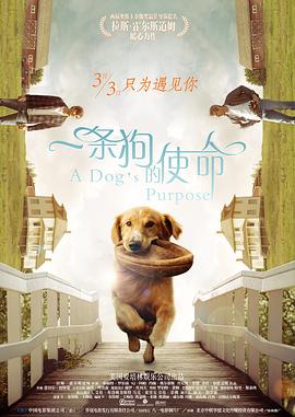 怎么才能浏览缅甸网站