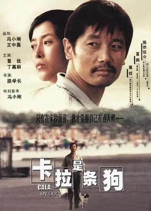成入视频在线观看