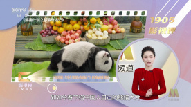 完美护士